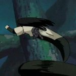 Nankaizou2.jpg